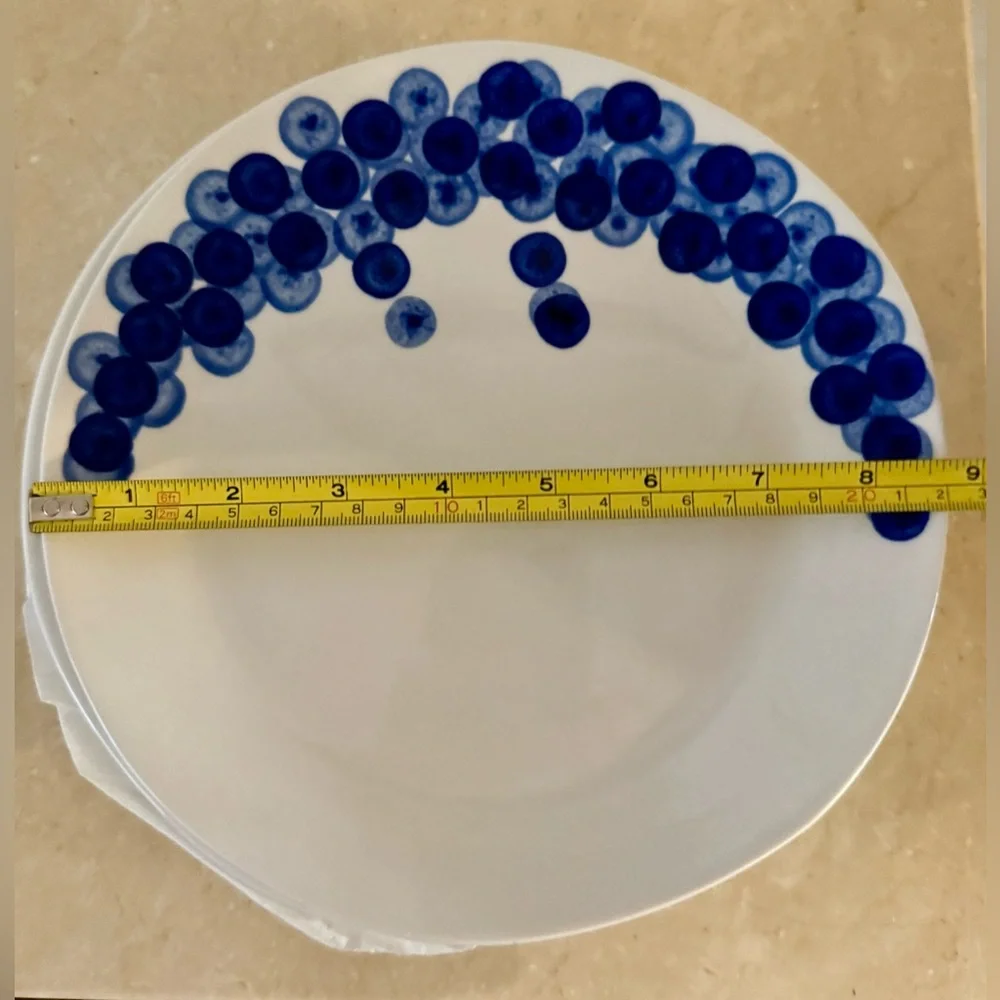 COPY - 5 VTG Crate&Barrel RIKA salad/dessert plates. 8.75” Blueberries